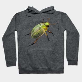 Iridescent green and gold beetle Hoodie